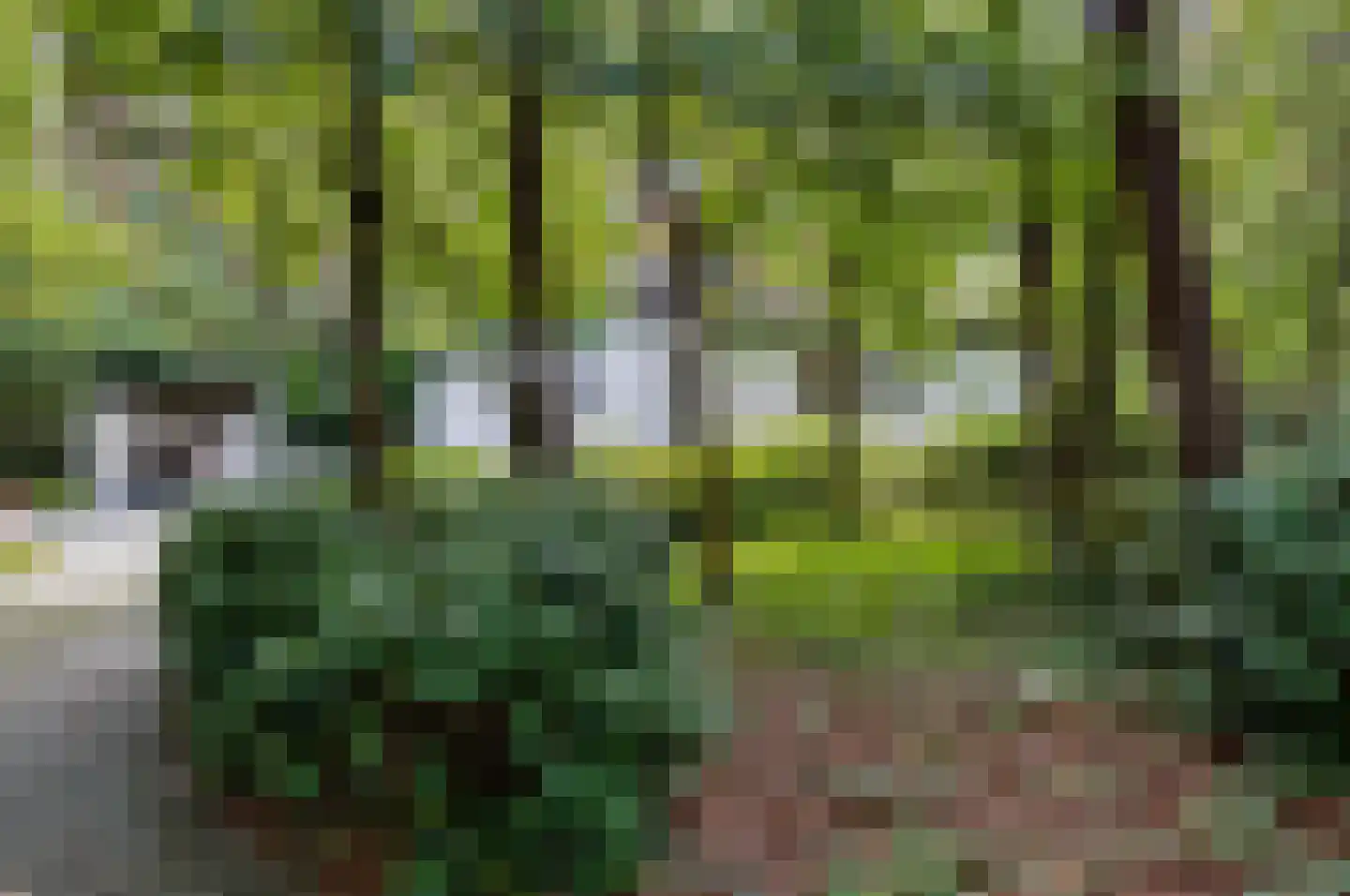 Twentseweg 74 Heino thumbnail 34