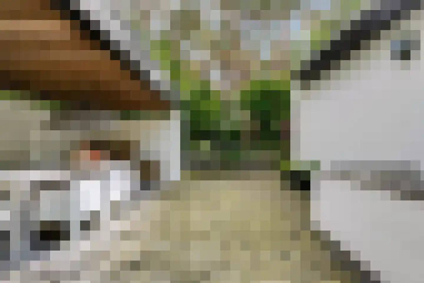 Twentseweg 74 Heino thumbnail 38