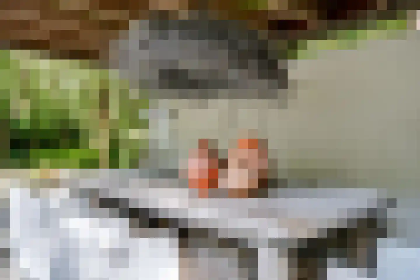 Twentseweg 74 Heino thumbnail 40