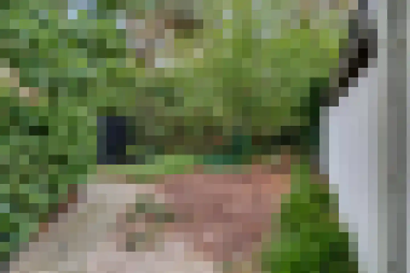 Twentseweg 74 Heino thumbnail 41