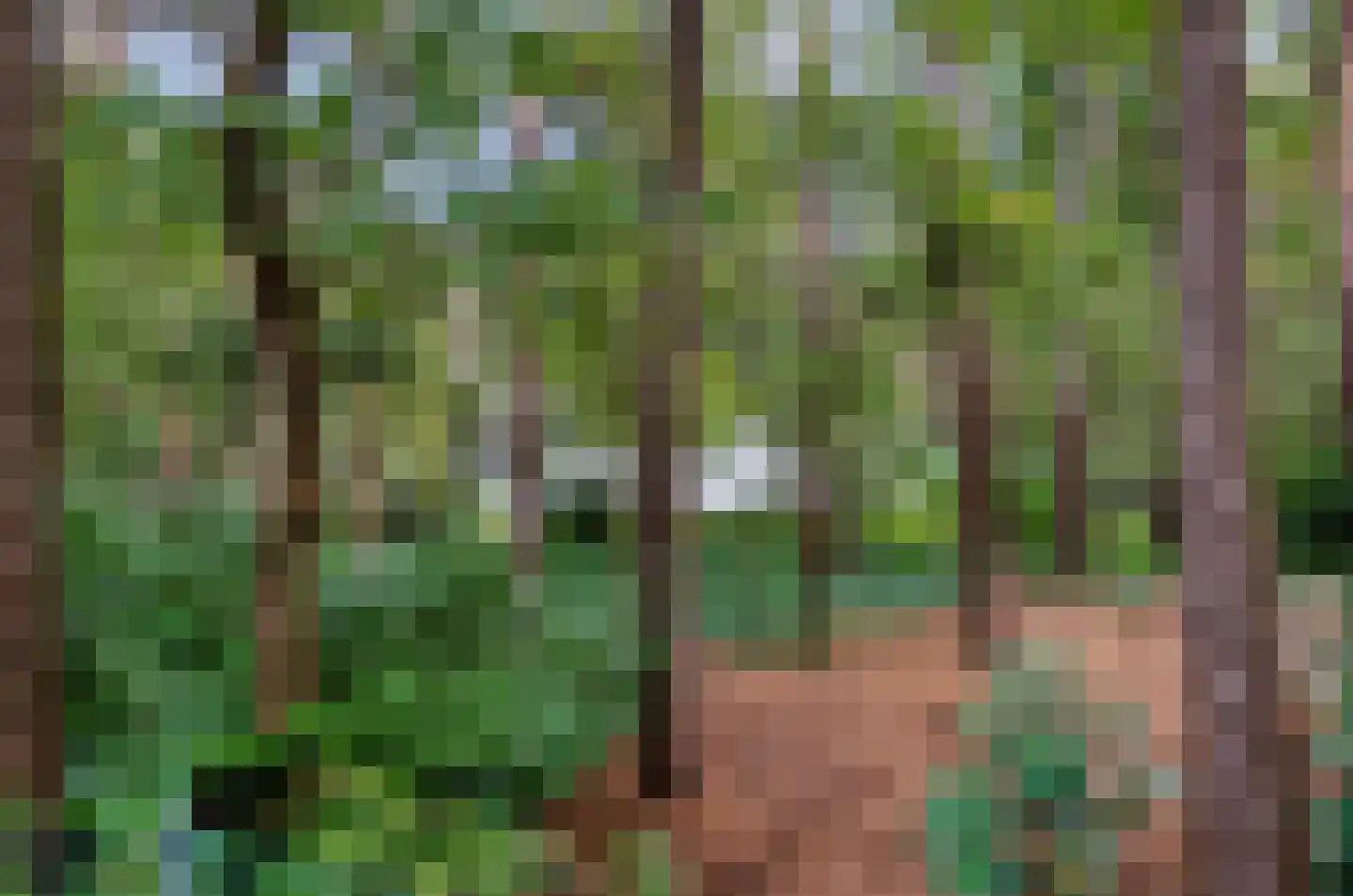 Twentseweg 74 Heino thumbnail 49