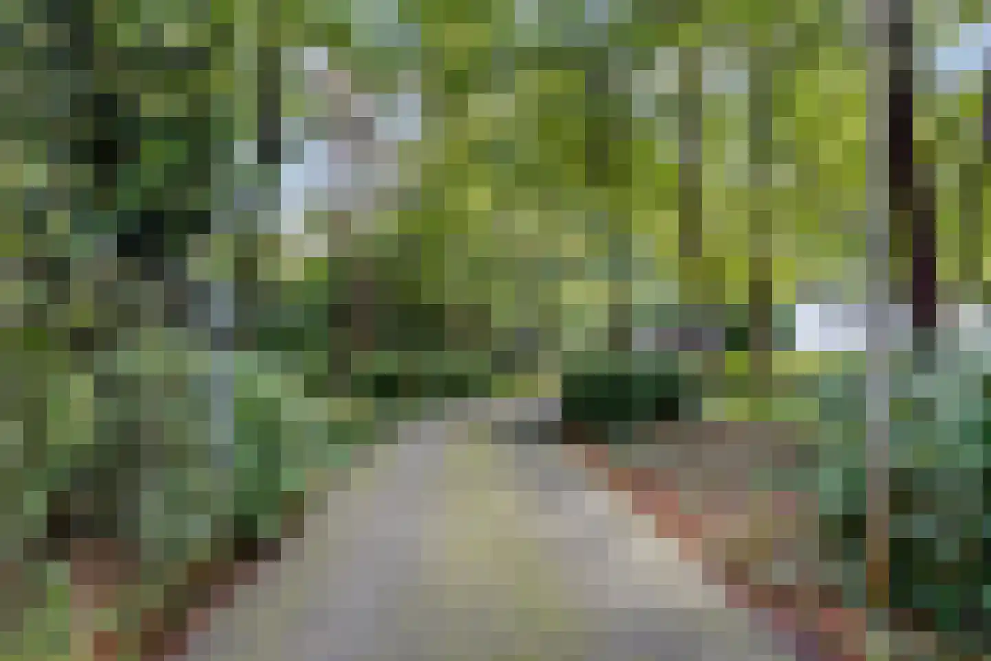 Twentseweg 74 Heino thumbnail 5