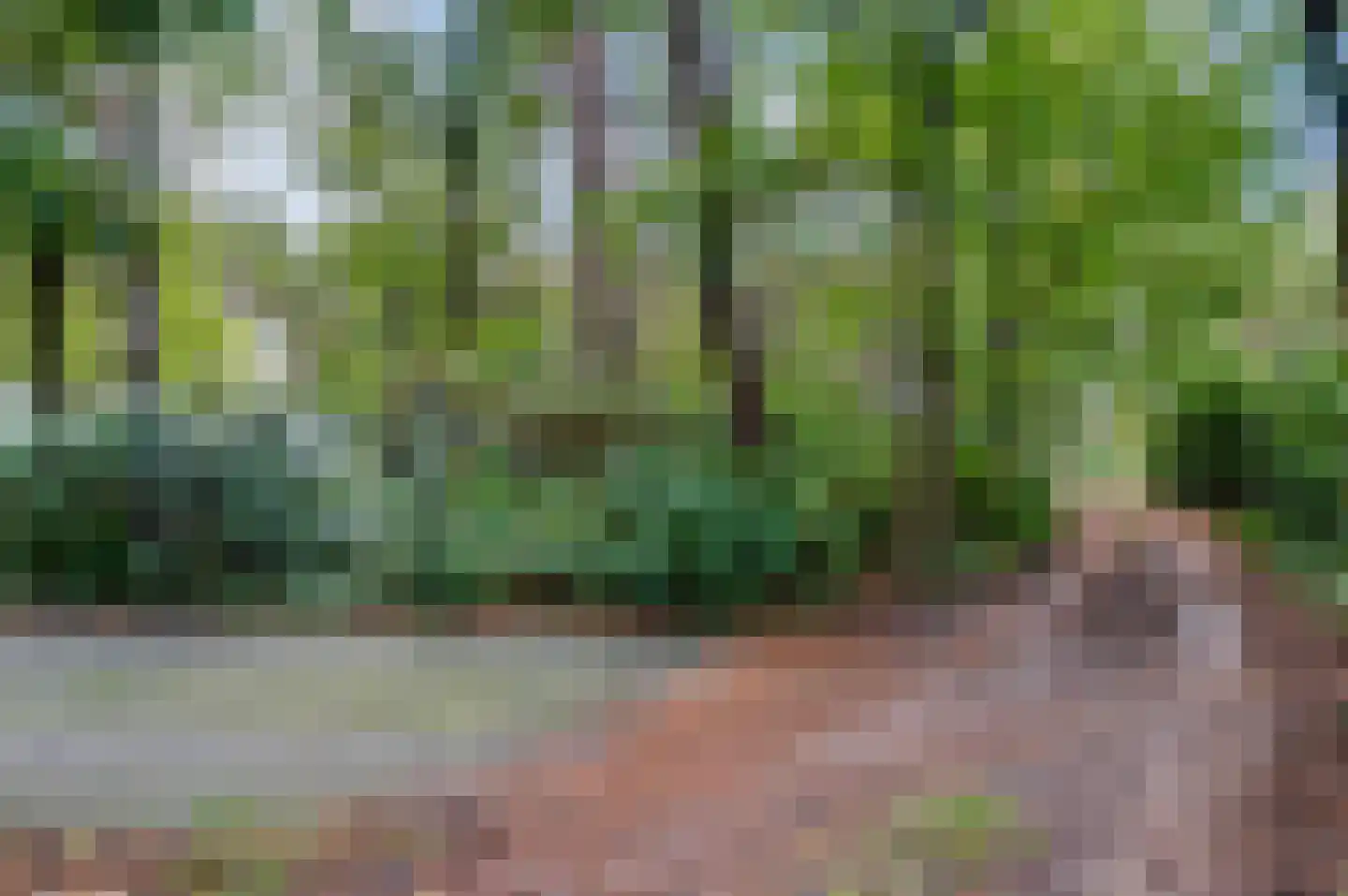 Twentseweg 74 Heino thumbnail 50
