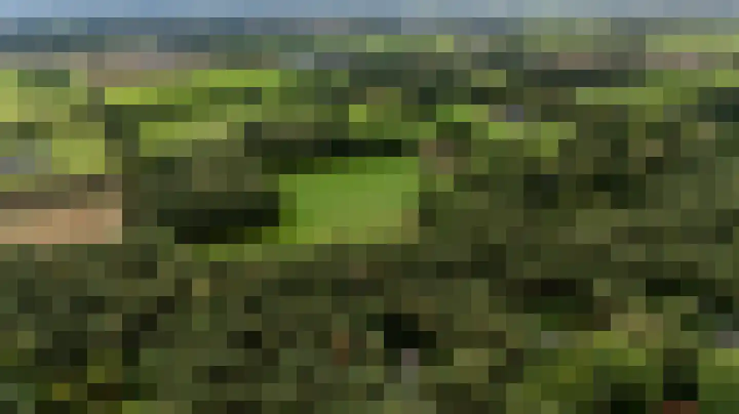 Twentseweg 74 Heino thumbnail 54