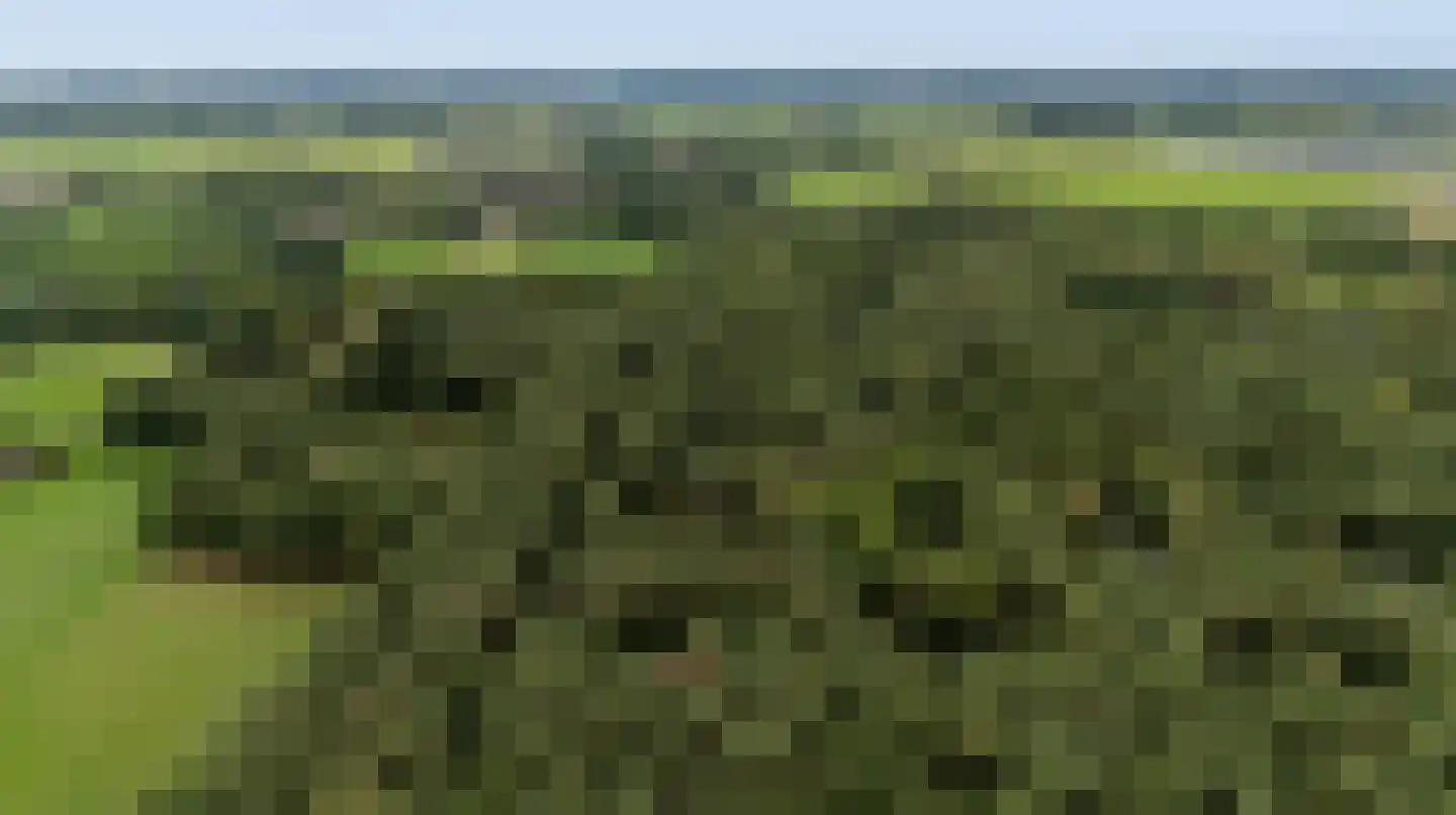 Twentseweg 74 Heino thumbnail 55