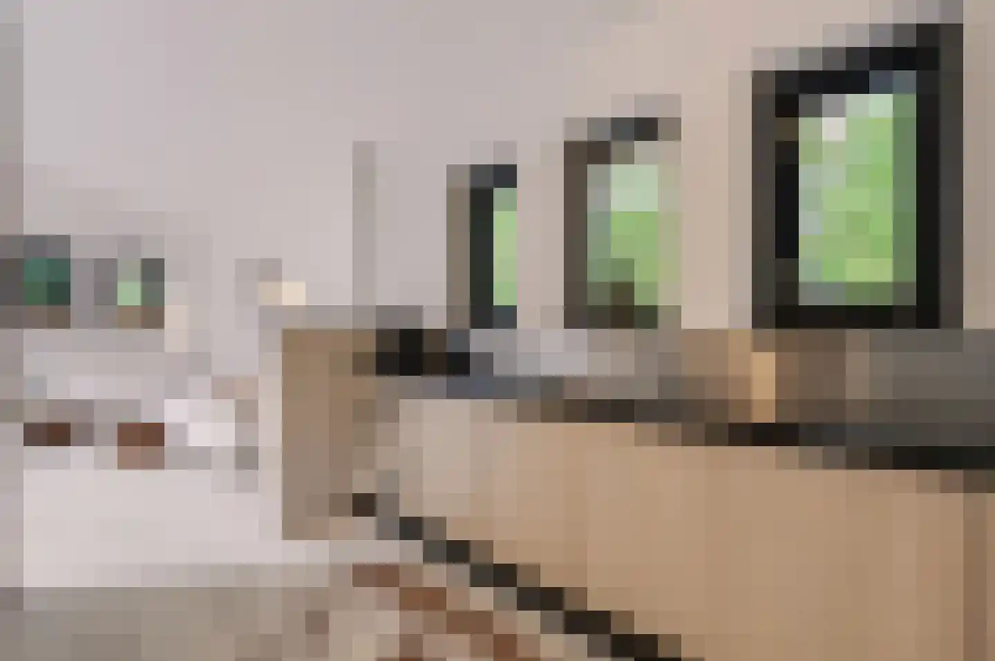 Twentseweg 74 Heino thumbnail 8