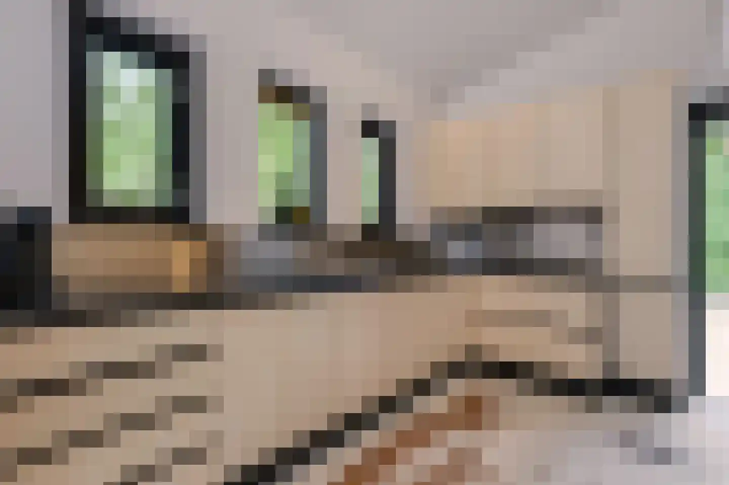 Twentseweg 74 Heino thumbnail 9