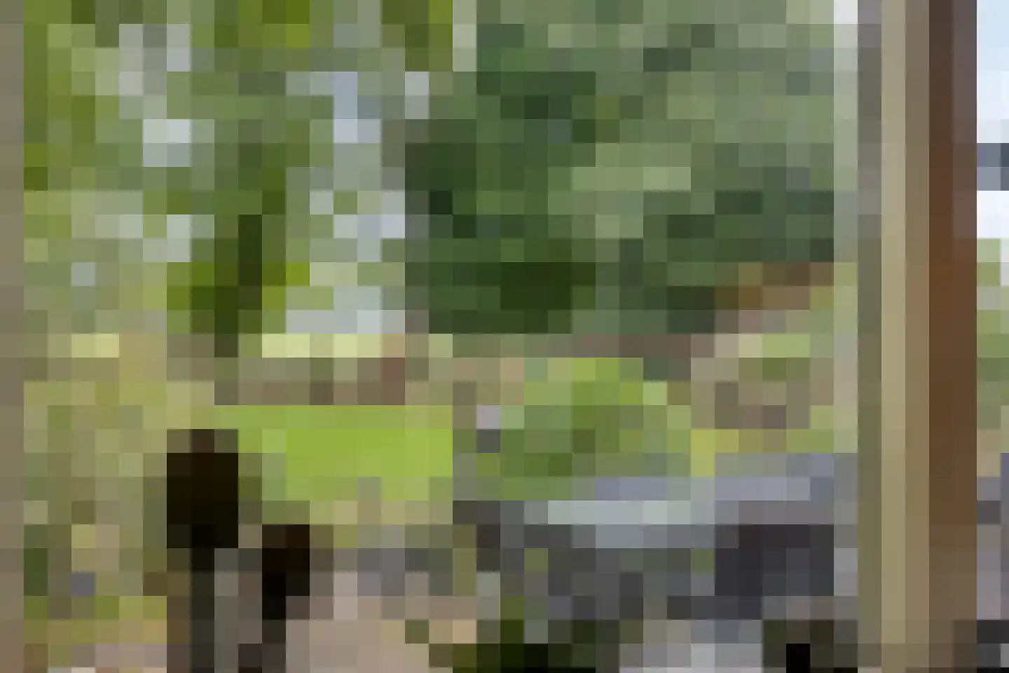 Twentseweg 75 Lemelerveld thumbnail 19