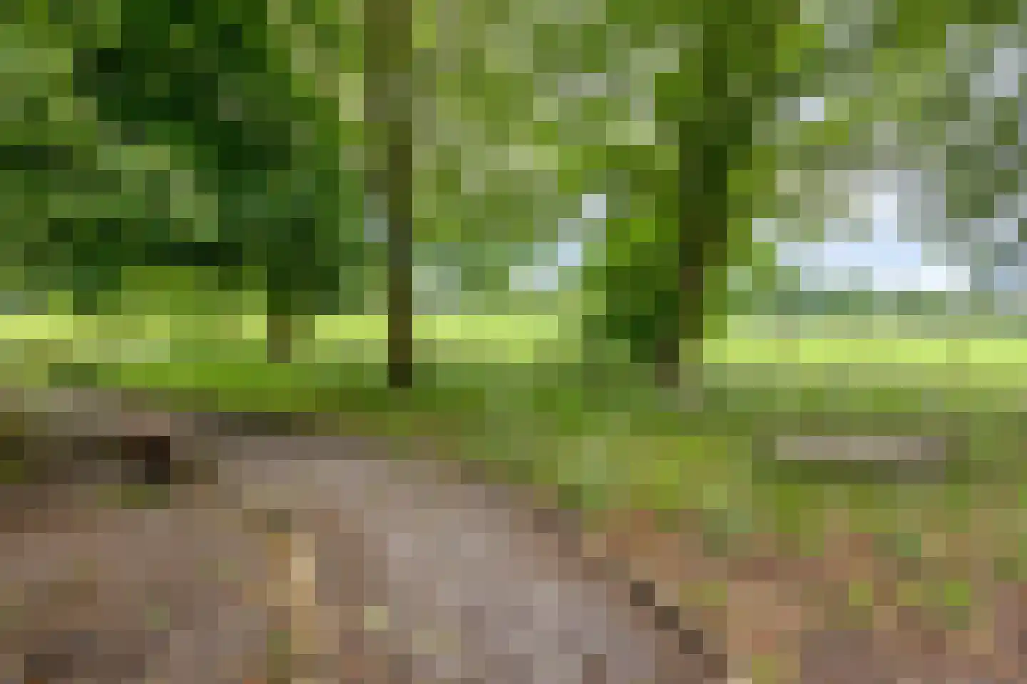 Twentseweg 75 Lemelerveld thumbnail 35