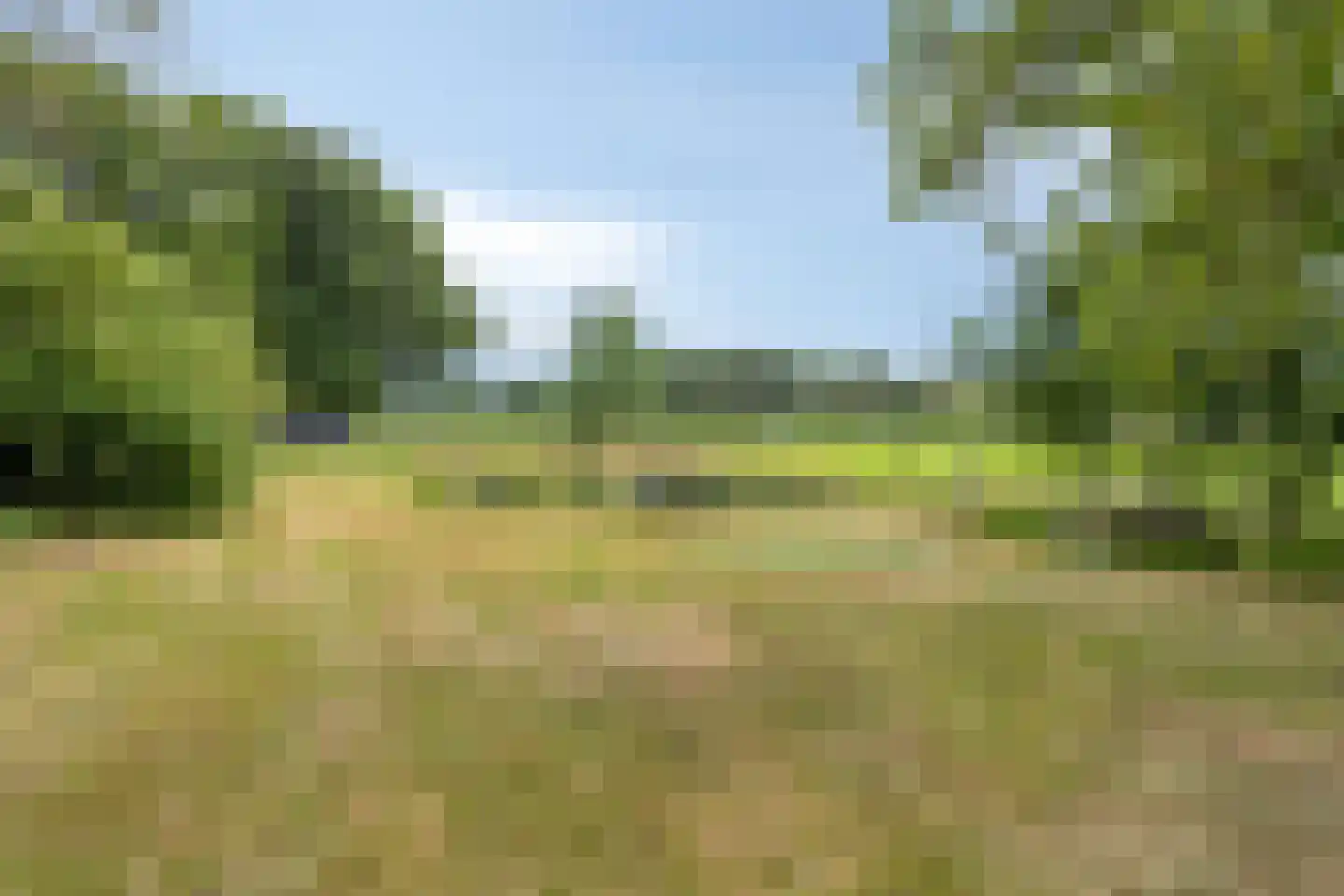 Twentseweg 75 Lemelerveld thumbnail 37