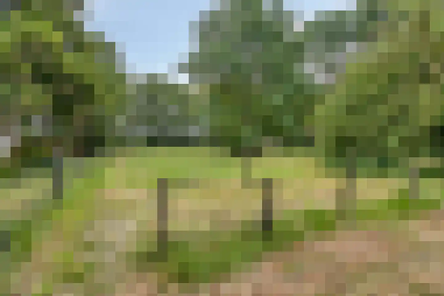 Twentseweg 75 Lemelerveld thumbnail 38