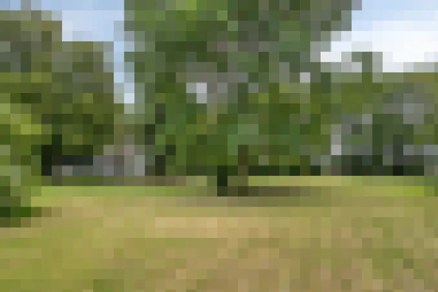 Twentseweg 75 Lemelerveld thumbnail 39