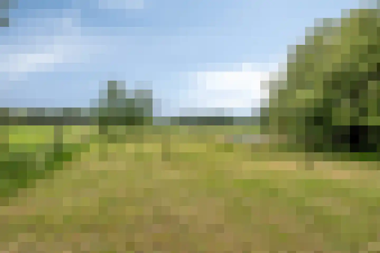Twentseweg 75 Lemelerveld thumbnail 40