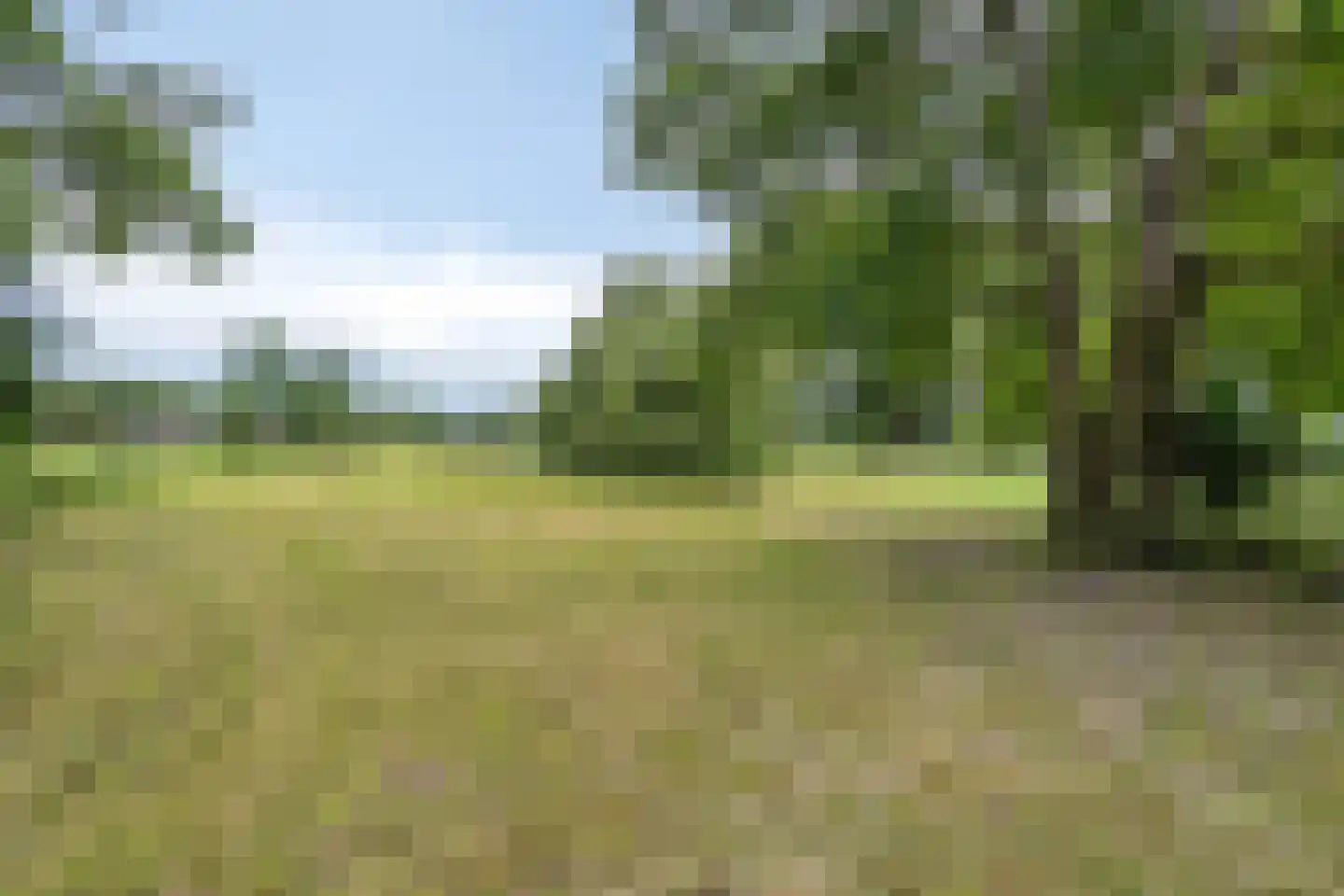 Twentseweg 75 Lemelerveld thumbnail 41