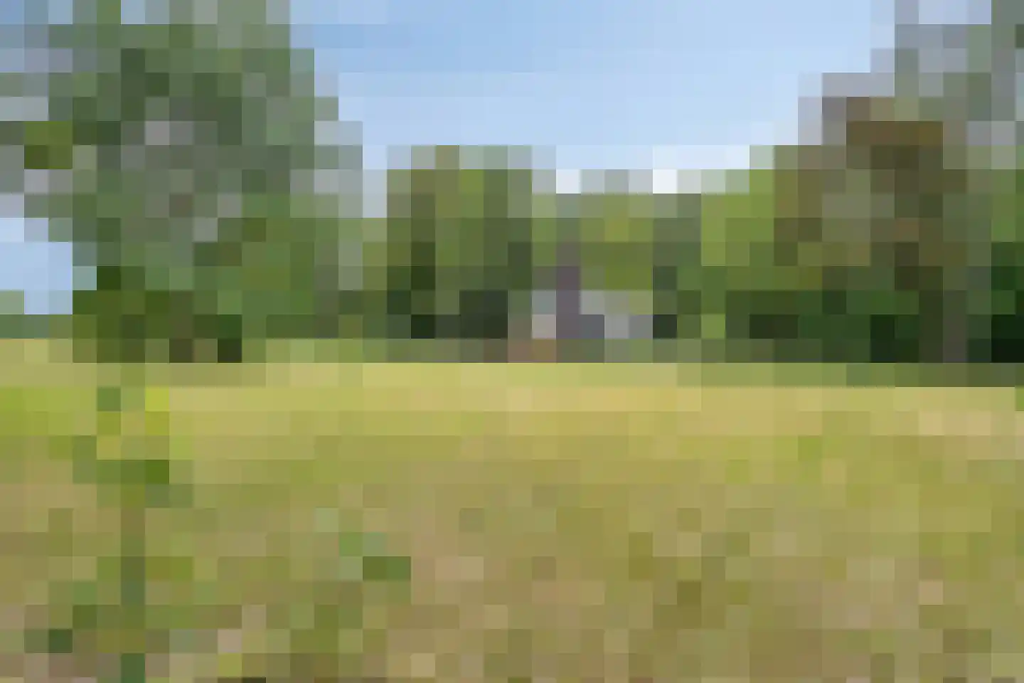Twentseweg 75 Lemelerveld thumbnail 42