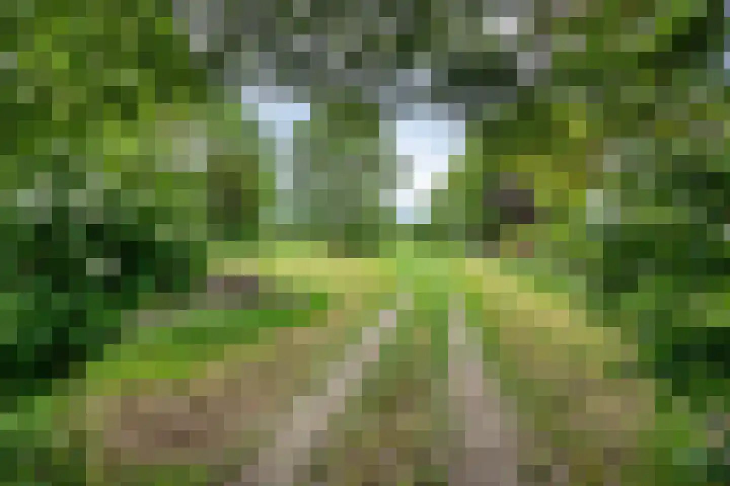 Twentseweg 75 Lemelerveld thumbnail 44