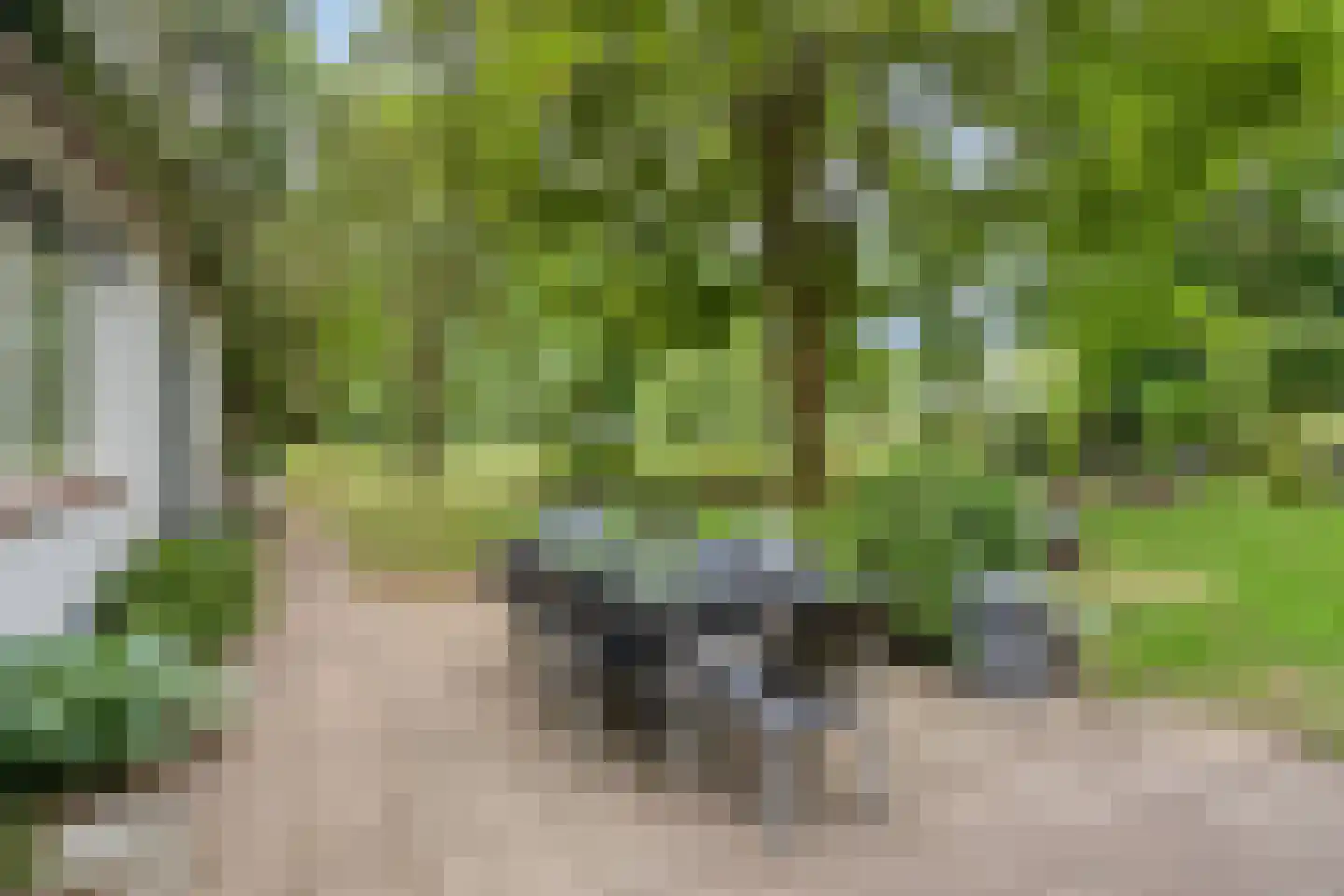 Twentseweg 75 Lemelerveld thumbnail 45