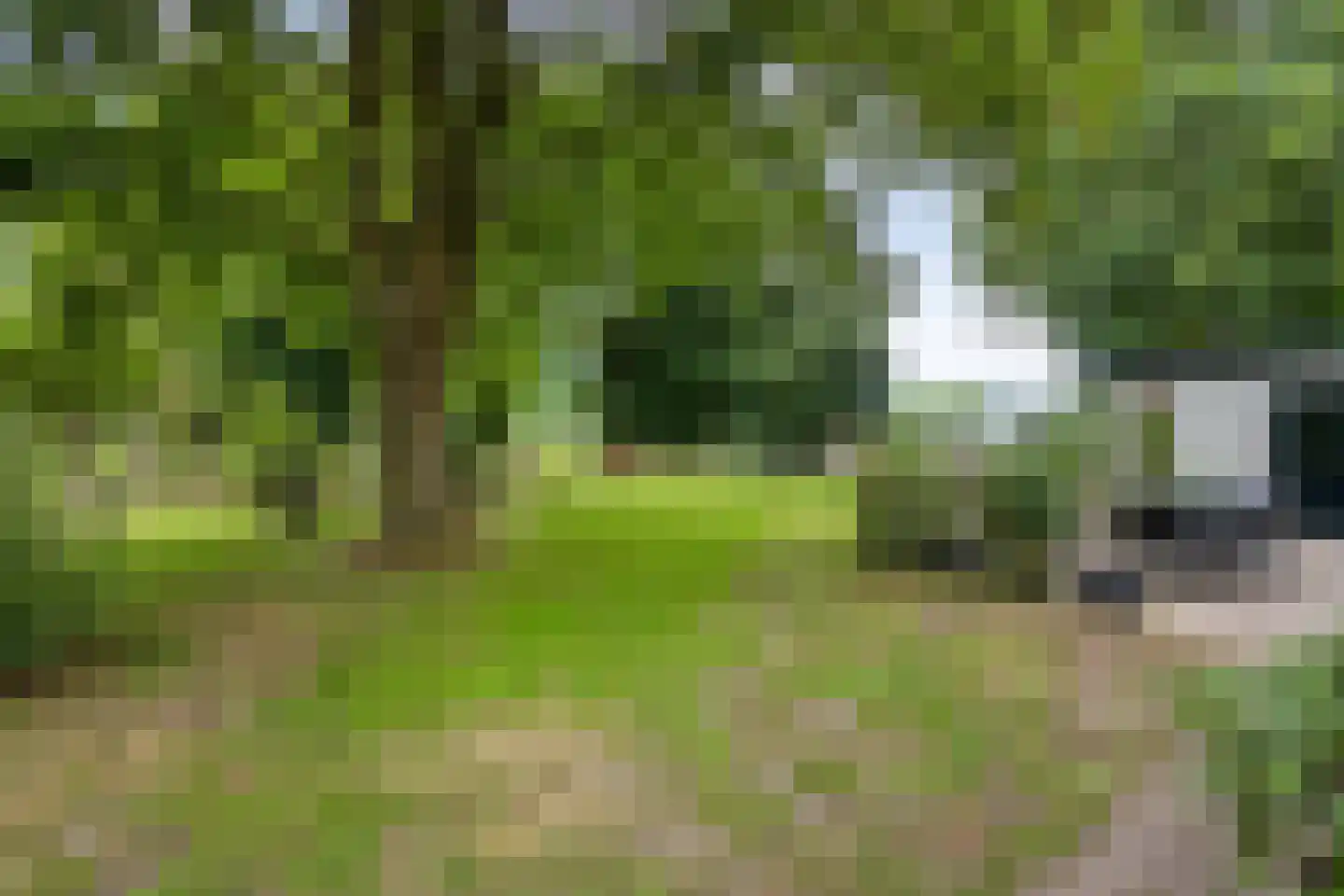 Twentseweg 75 Lemelerveld thumbnail 46