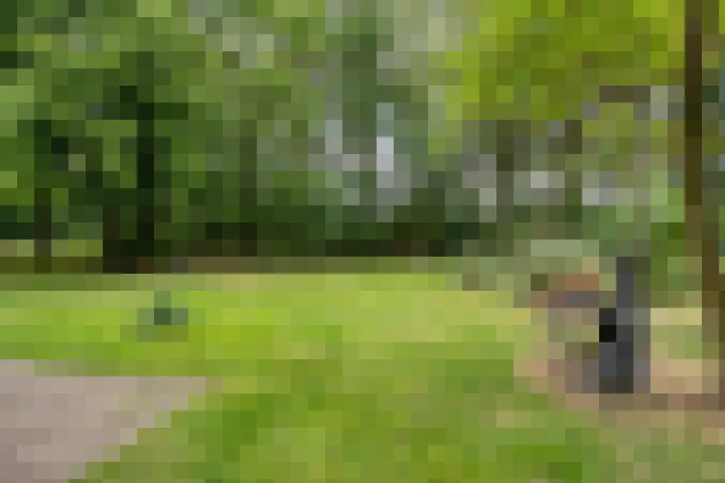 Twentseweg 75 Lemelerveld thumbnail 47