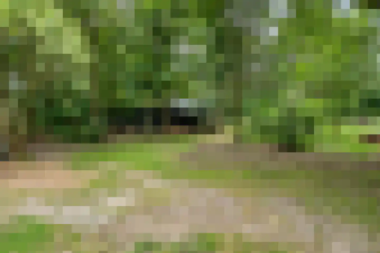 Twentseweg 75 Lemelerveld thumbnail 48