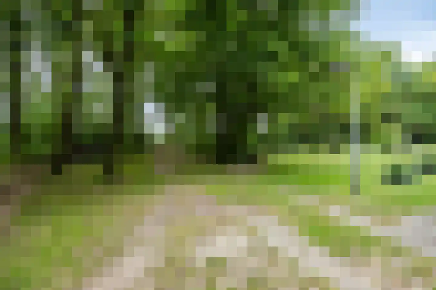 Twentseweg 75 Lemelerveld thumbnail 49