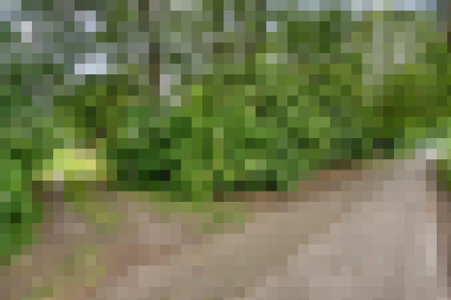Twentseweg 75 Lemelerveld thumbnail 51