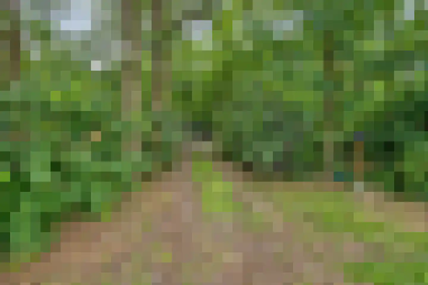 Twentseweg 75 Lemelerveld thumbnail 52