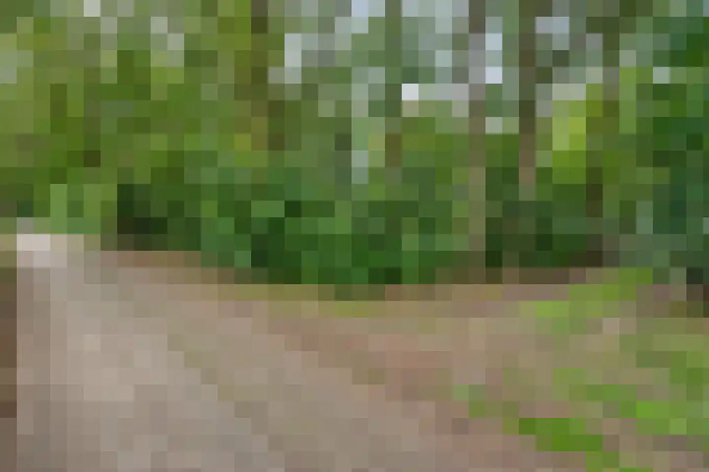 Twentseweg 75 Lemelerveld thumbnail 53