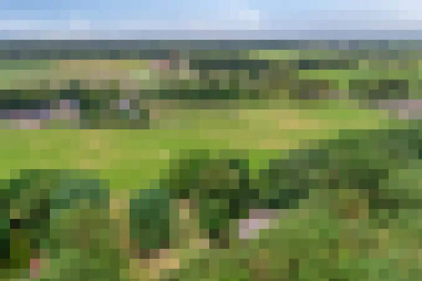 Twentseweg 75 Lemelerveld thumbnail 54