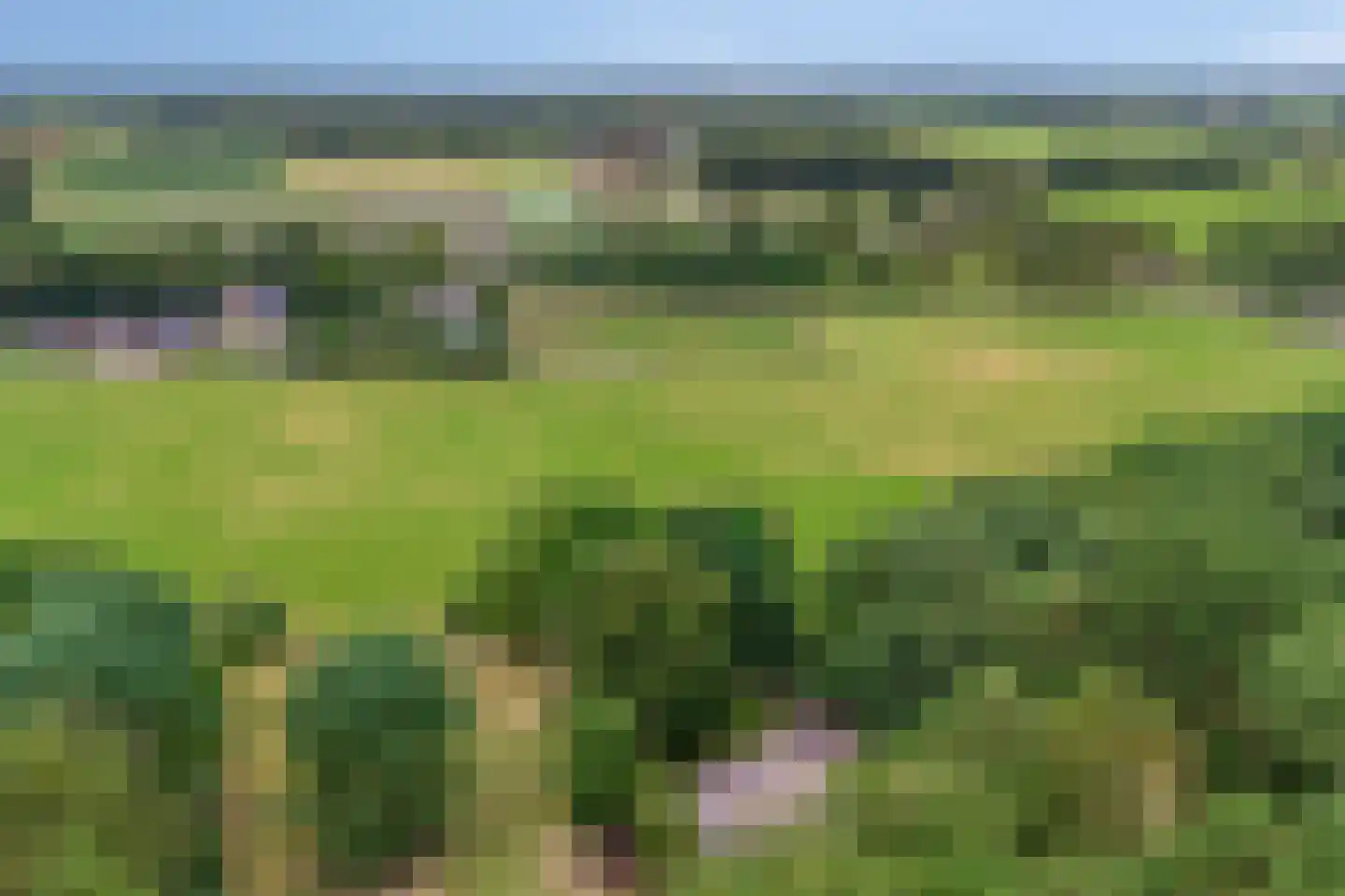 Twentseweg 75 Lemelerveld thumbnail 55