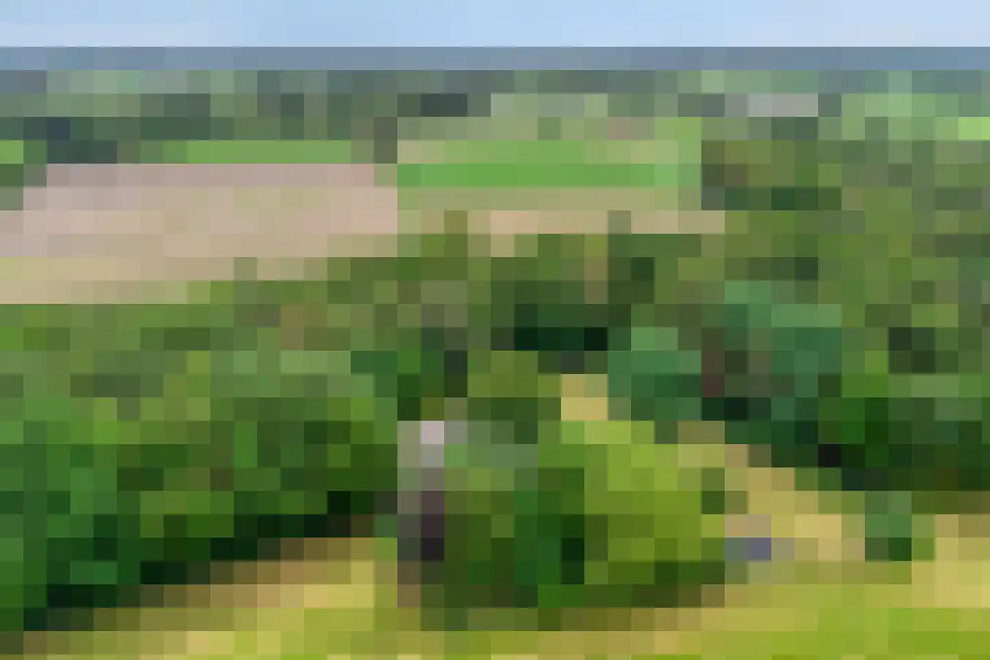 Twentseweg 75 Lemelerveld thumbnail 56