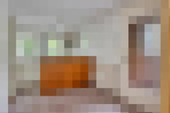 Twentseweg 78 Heino thumbnail 14