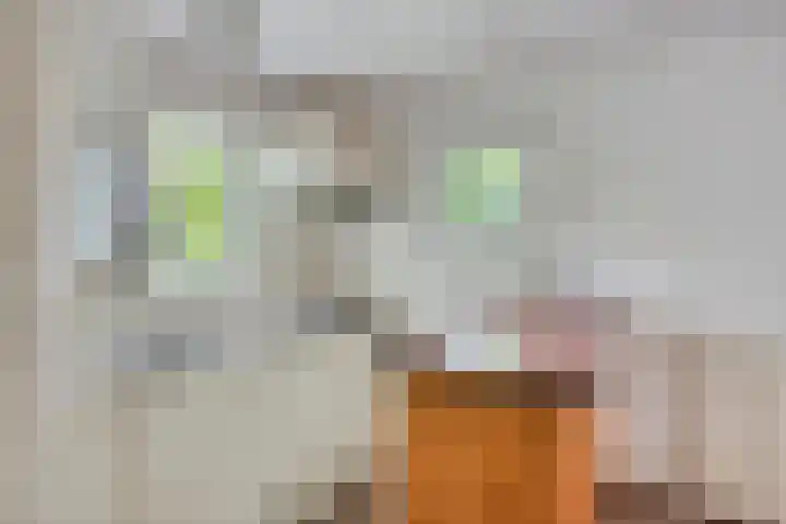 Twentseweg 78 Heino thumbnail 15