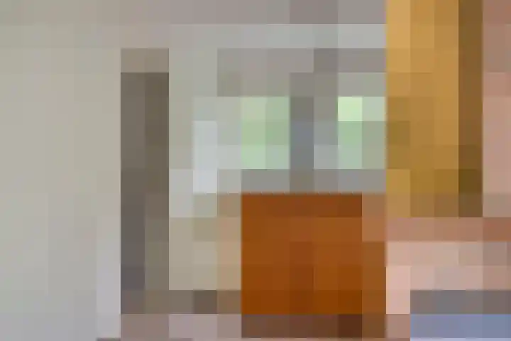 Twentseweg 78 Heino thumbnail 16
