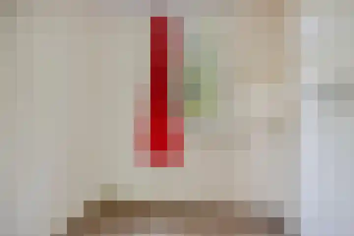 Twentseweg 78 Heino thumbnail 21