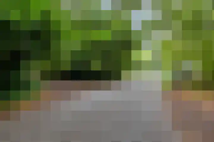 Twentseweg 78 Heino thumbnail 28