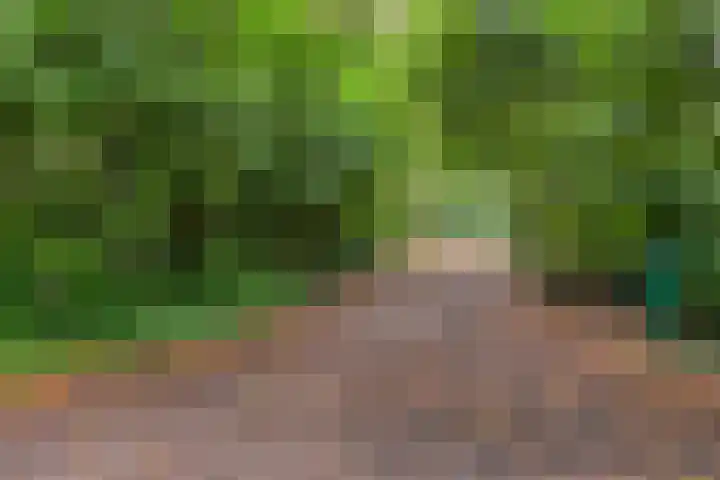 Twentseweg 78 Heino thumbnail 29