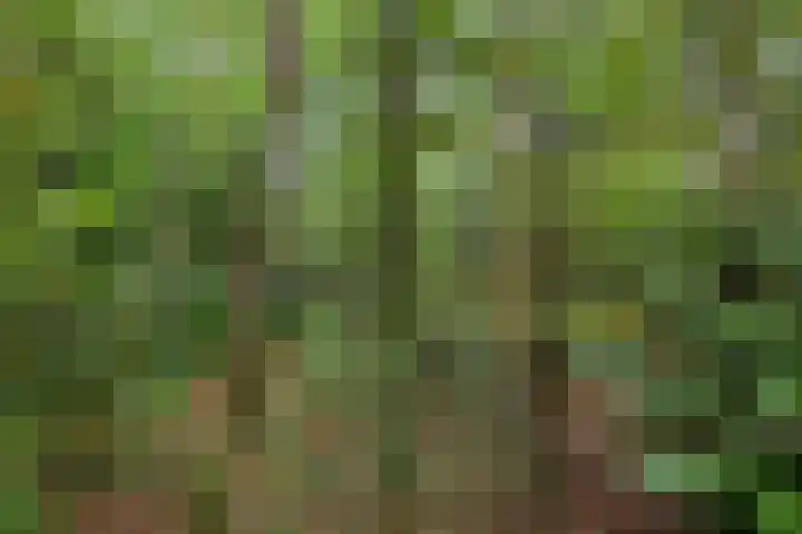 Twentseweg 78 Heino thumbnail 30