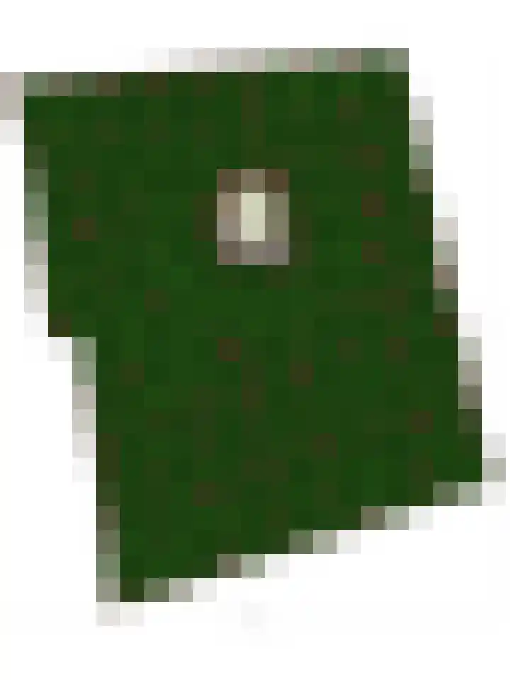 Twentseweg 78 Heino thumbnail 32