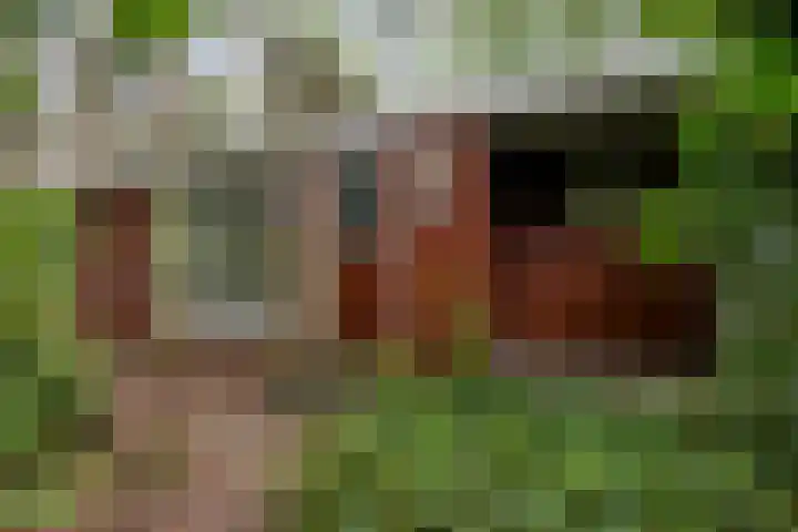 Twentseweg 78 Heino thumbnail 33