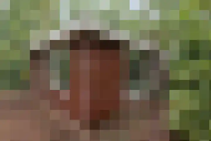 Twentseweg 78 Heino thumbnail 5