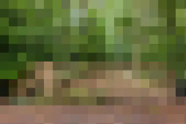 Twentseweg 78 Heino thumbnail 8
