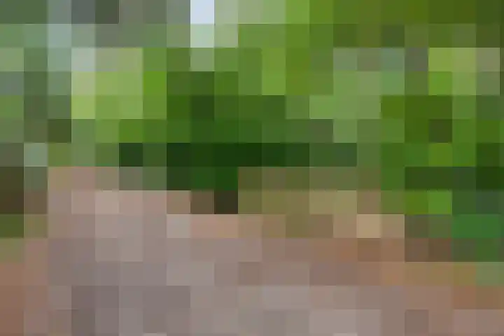 Twentseweg 78 Heino thumbnail 9