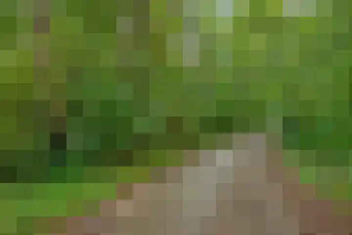 Twentseweg 79 Lemelerveld thumbnail 24