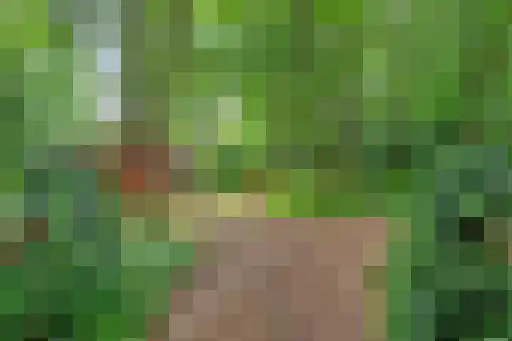 Twentseweg 79 Lemelerveld thumbnail 26