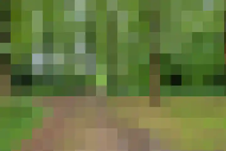 Twentseweg 79 Lemelerveld thumbnail 28
