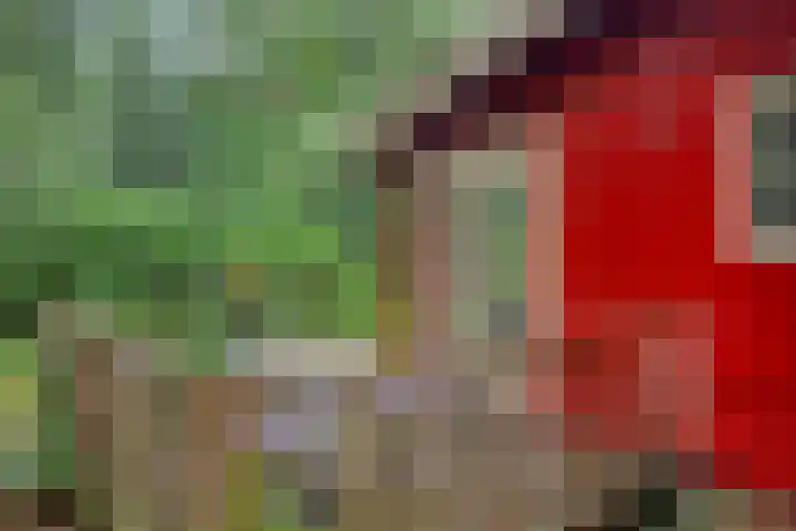 Twentseweg 79 Lemelerveld thumbnail 29
