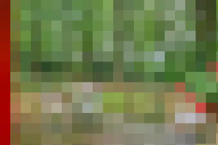 Twentseweg 79 Lemelerveld thumbnail 30