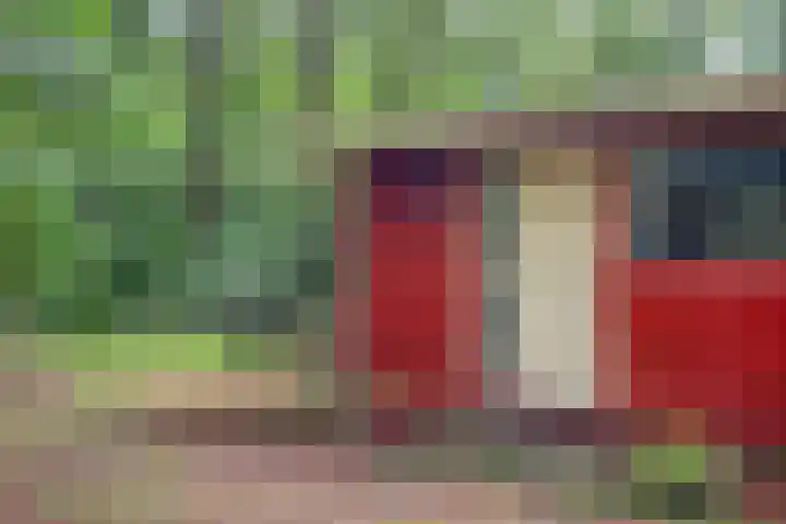 Twentseweg 79 Lemelerveld thumbnail 31