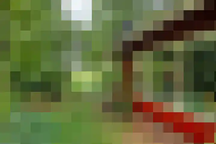 Twentseweg 79 Lemelerveld thumbnail 32
